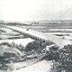 How the area looked before the towering mangroves existed.